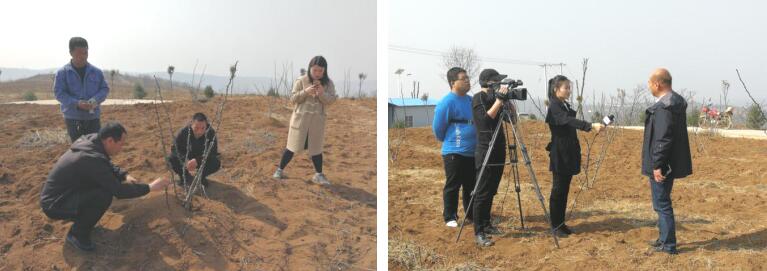 051614934916986431.jpeg QQ截圖20210305170000.jpg