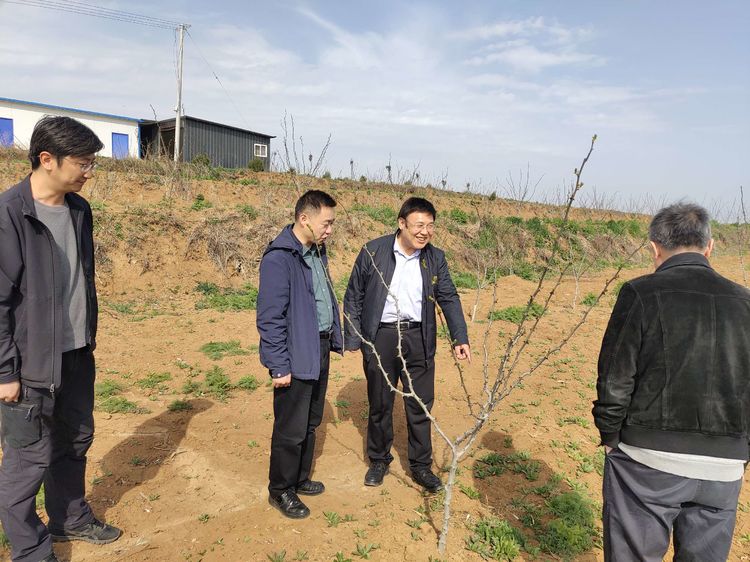 251616654146297154.jpeg 微信圖片_20210325143329.jpg