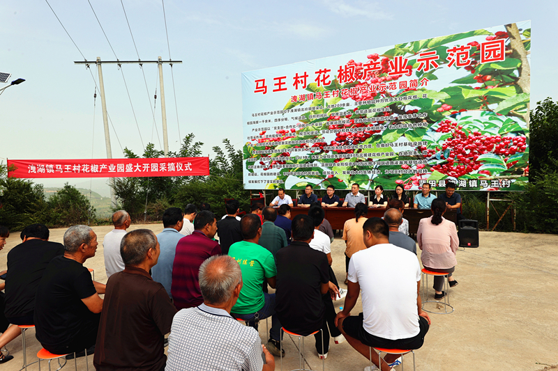 181692352785442491.jpeg a41i5913_副本_副本_副本.jpg