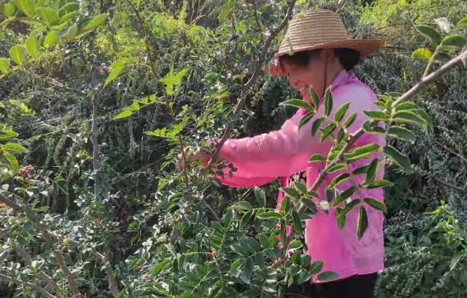 扶貧工作動態（第128期）