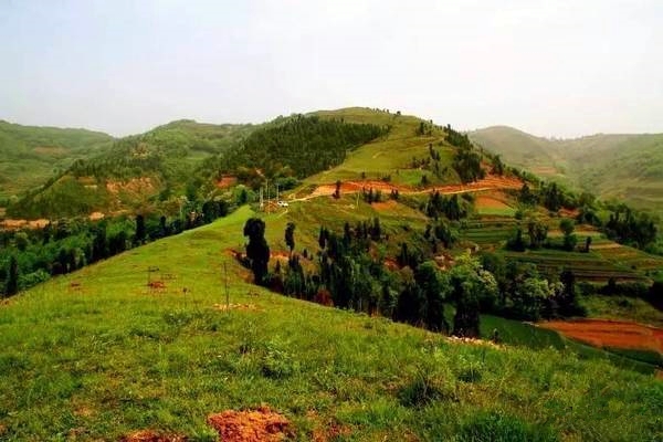 鄉(xiāng)村振興工作動態(tài) (第141期)