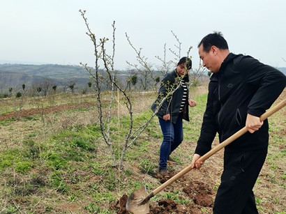 扶貧工作動態（第133期）