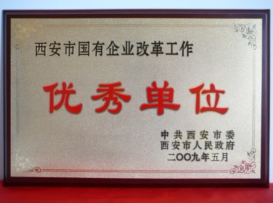 2009年5月，被西安市委、市政府評(píng)為西安市國(guó)企業(yè)改革工作優(yōu)秀單位