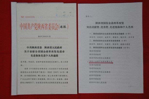 2009年2月，被陜西省委、省政府授予陜西省國(guó)有企業(yè)改革攻堅(jiān)先進(jìn)集體
