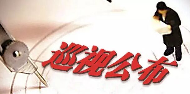 中共西安工業(yè)資產(chǎn)經(jīng)營公司黨委關(guān)于巡視整改情況的通報(bào)