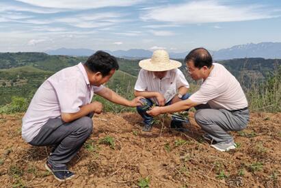扶貧工作動態(第九十三期)