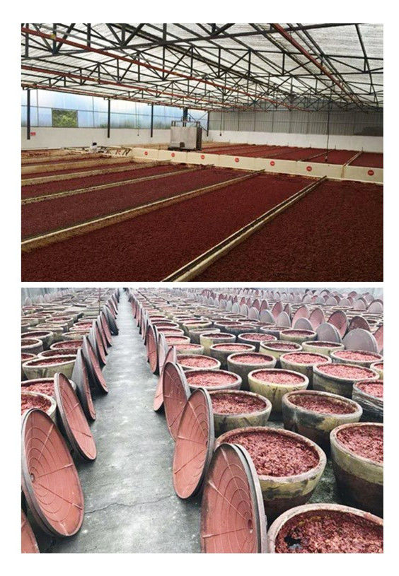 1534404618830470.jpg 1534404618830470.jpg