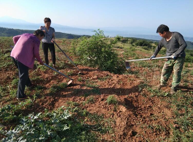 1562298627925269.jpg QQ截圖20190705115159.jpg