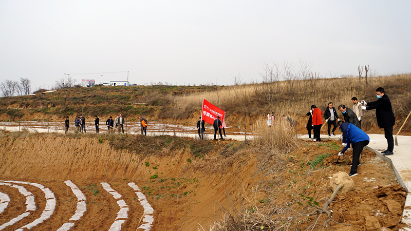 1584088060109442.jpg 全景_副本.jpg